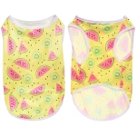 Майка для собак и кошек мелких и средних пород «БРО на стиле», арбузики, размер ХL (длина спинки 36см, объем груди 43см, от 9 до 12кг)