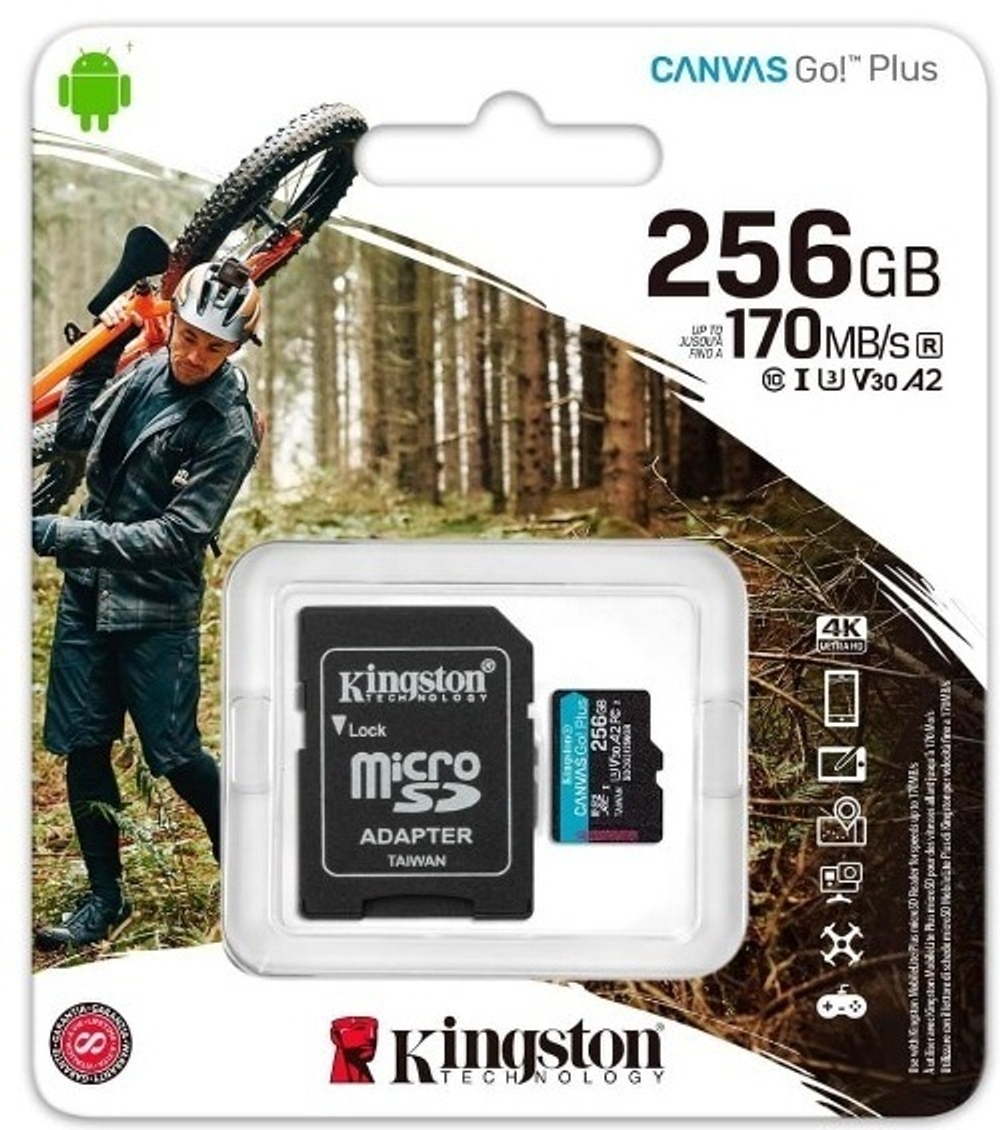 Карта памяти Kingston SDCG3/256GB 256 Гб