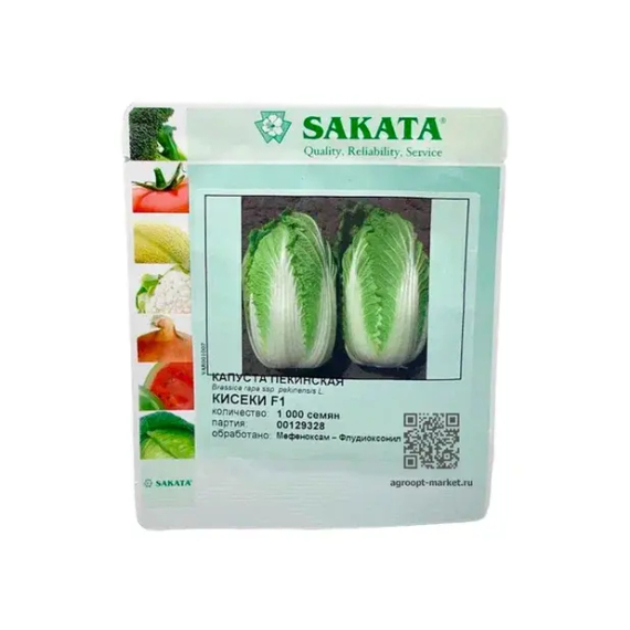 КИСЕКИ F1 семена капусты пекинской (Sakata | Alexagro) – фото 2
