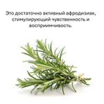 Розмарин, кубики восковые для ароматизации, 10 штук