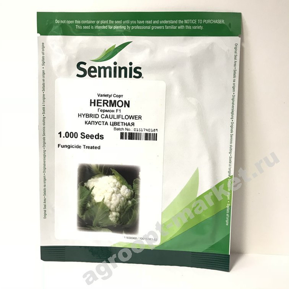 Гермон F1 семена капусты цветной (Seminis / Семинис) – фото 2