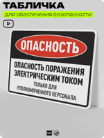 Табличка для обеспечения безопасности "Опасность поражения электрическим током", для производства, предприятия, организаций, 40х30 см, Silver Plane x Айдентика Технолоджи