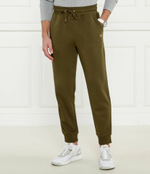 Спортивные штаны Gant - зеленый(2009026)