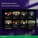 Телевизор LED Yandex 43" YNDX-00091K