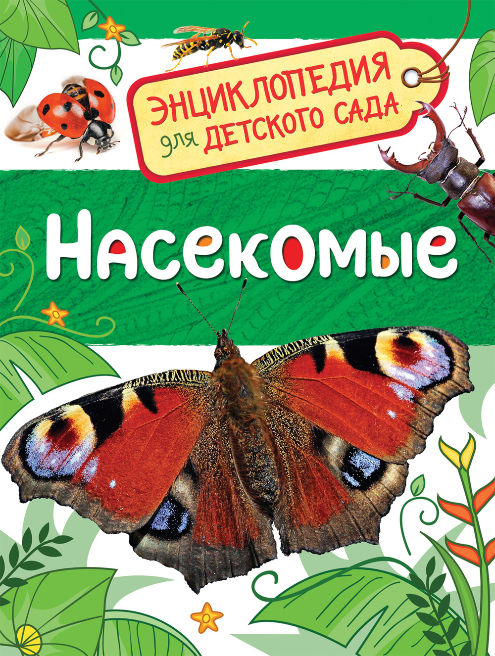 Насекомые