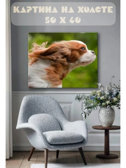 Картина на стену 40 X 50 Спаниель