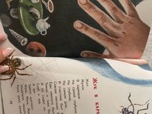 Кто самый добрый? Стихи и сказки