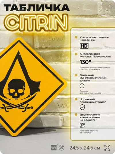 Табличка декоративная "Assassin s Creed Black Flag" на дверь и стену, прикольная штука в подарок геймеру, декоративный знак, 24,5х24,5 см, Айдентика Технолоджи