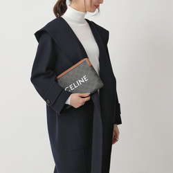 Сумка CELINE Triomphe, 10D672BZQ.04LU