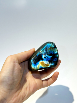 Срез Лабрадора S