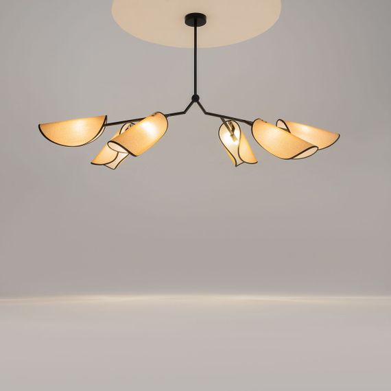 Подвесная люстра Maytoni Organic MOD225PL-06B