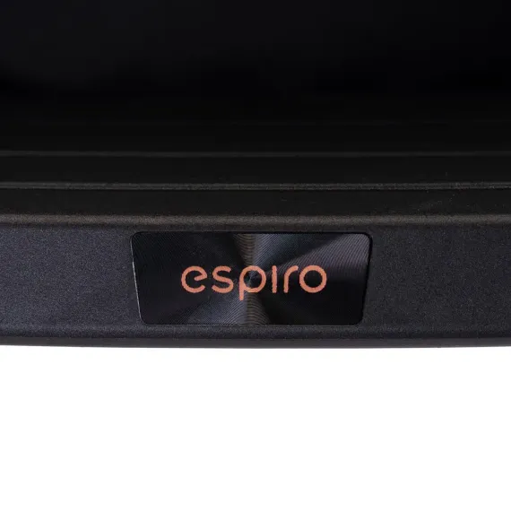 Прогулочная коляска Espiro Flame