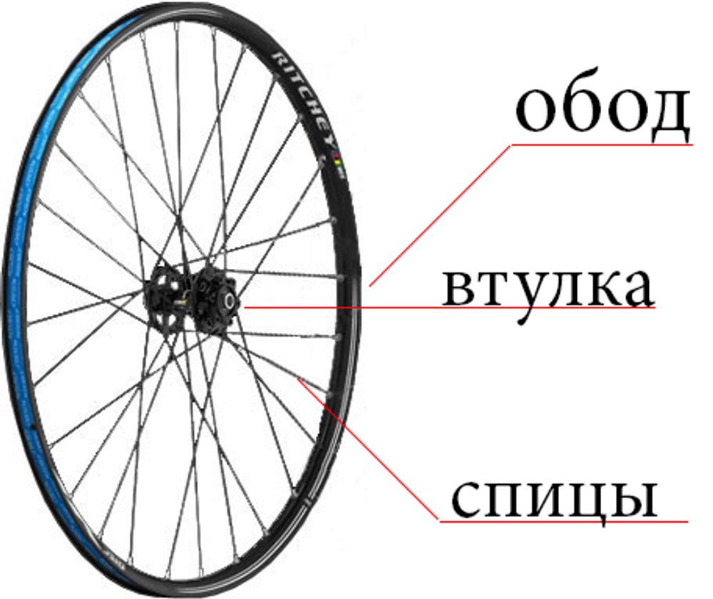 Замена до 5 спиц