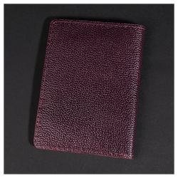 Кожаная обложка на паспорт «Шаманка» (фигура)