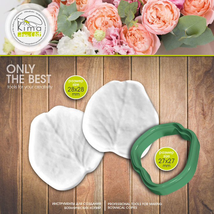 Эвкалипт сизый маленький