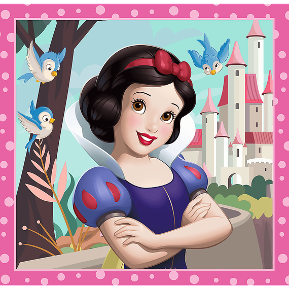Puzzles - &quot;3in1&quot; - Beautiful flowers / Disney Princess