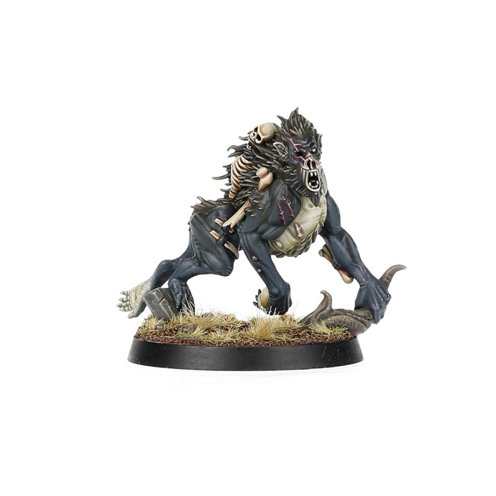 Warcry: Royal Beastflayers на английском языке