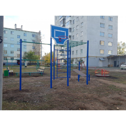 Кроссфит Рукоход со скамьей для пресса и шведской стенкой СОВ 04460