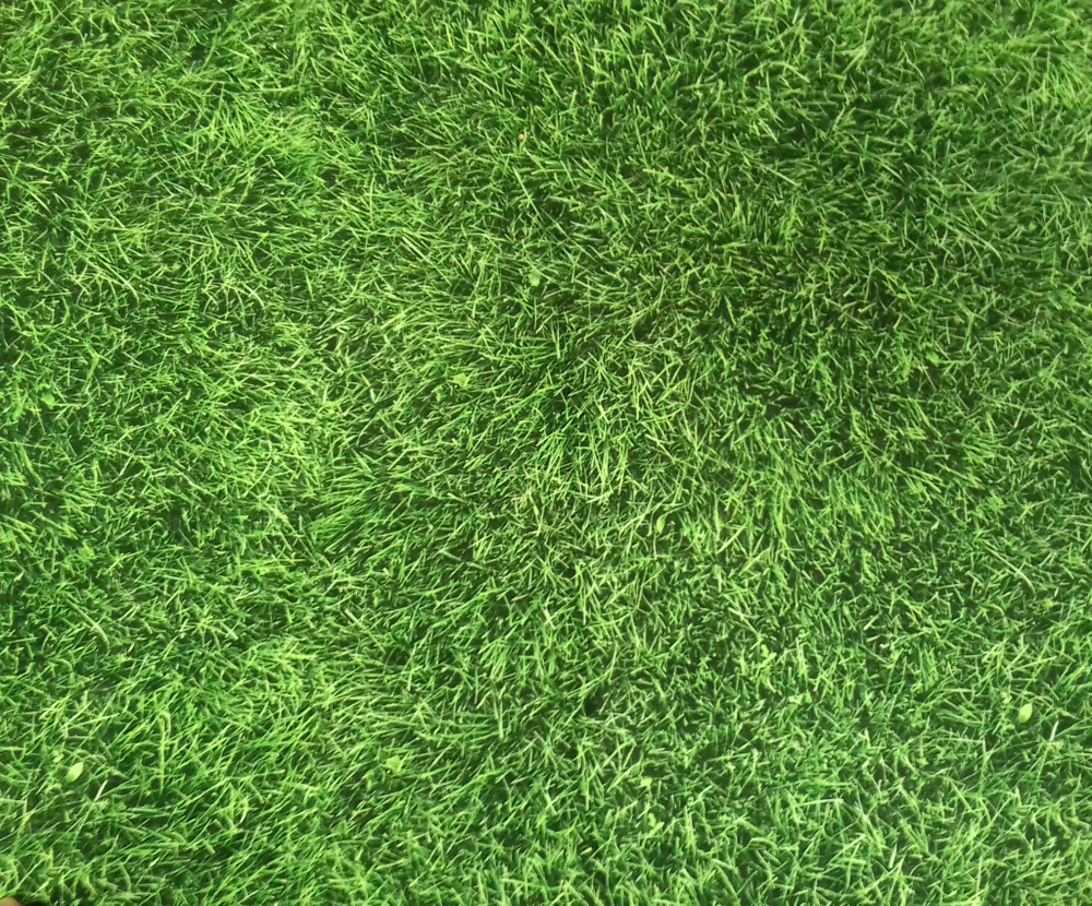 Микровелюр Xpoint (Икспоинт) 0053.01 Сочная трава