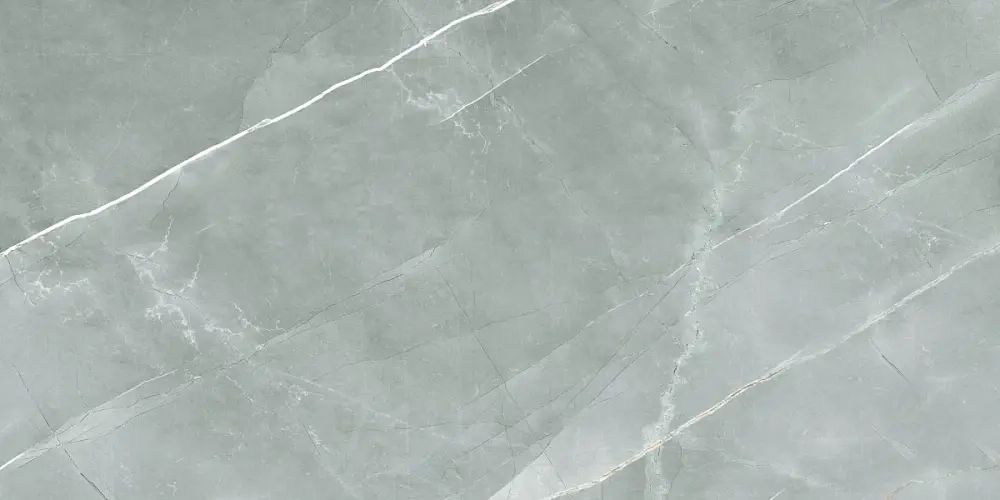 Керамогранит Royce William Grey Polished 60x120 см (R_PR2019)