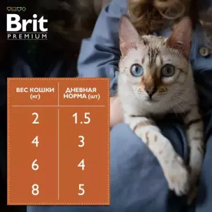 Пауч Brit Premium для взрослых стерилизованных кошек, лосось в соусе