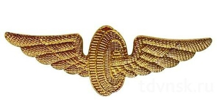 Знак мет. РЖД техзнак