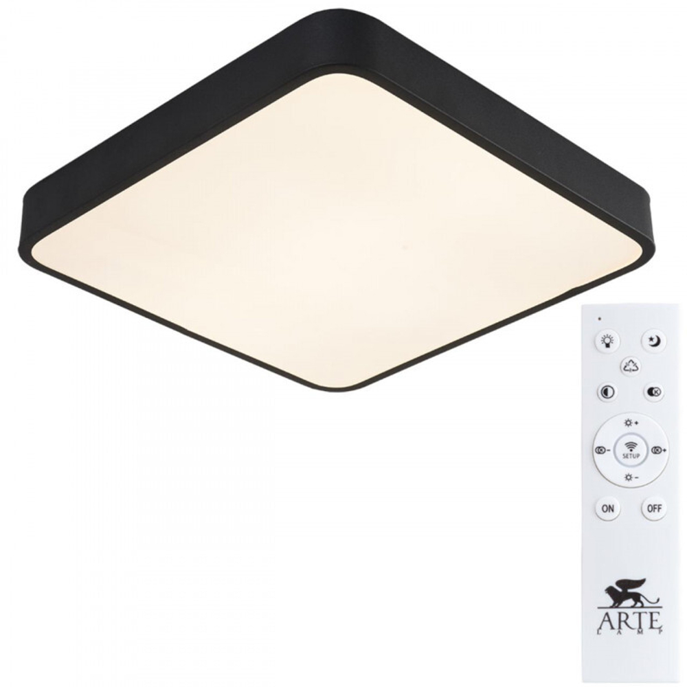 Накладной светильник Arte Lamp A2663PL-1BK