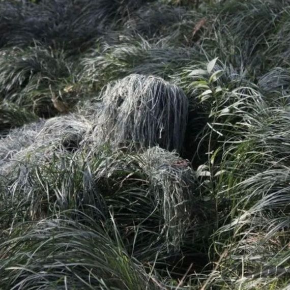 Маскировочный костюм «ЛЕШИЙ», хаки