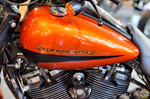 Harley-Davidson® Road King Special®
