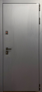 Стальная дверь "Нева" (биометрический замок R06)