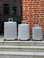 Чемодан Rimowa, Dior