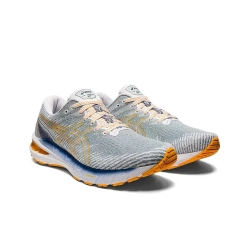 Мужские кроссовки ASICS GT-2000 10 'Light Steel Amber' 1011B185-404