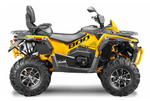 Квадроцикл STELS ATV800 (TE) ГЕПАРД 2.0 K05 EPS GN