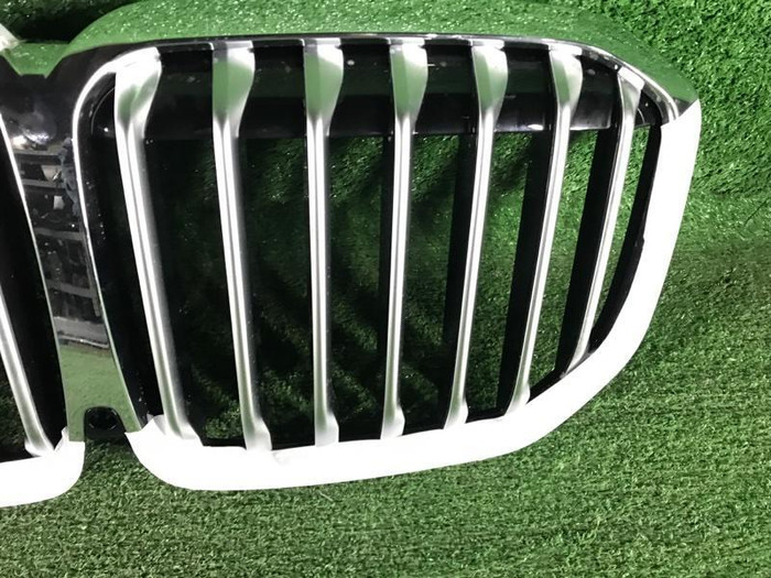 Решетка радиатора BMW X7 G07 (2019-2022)