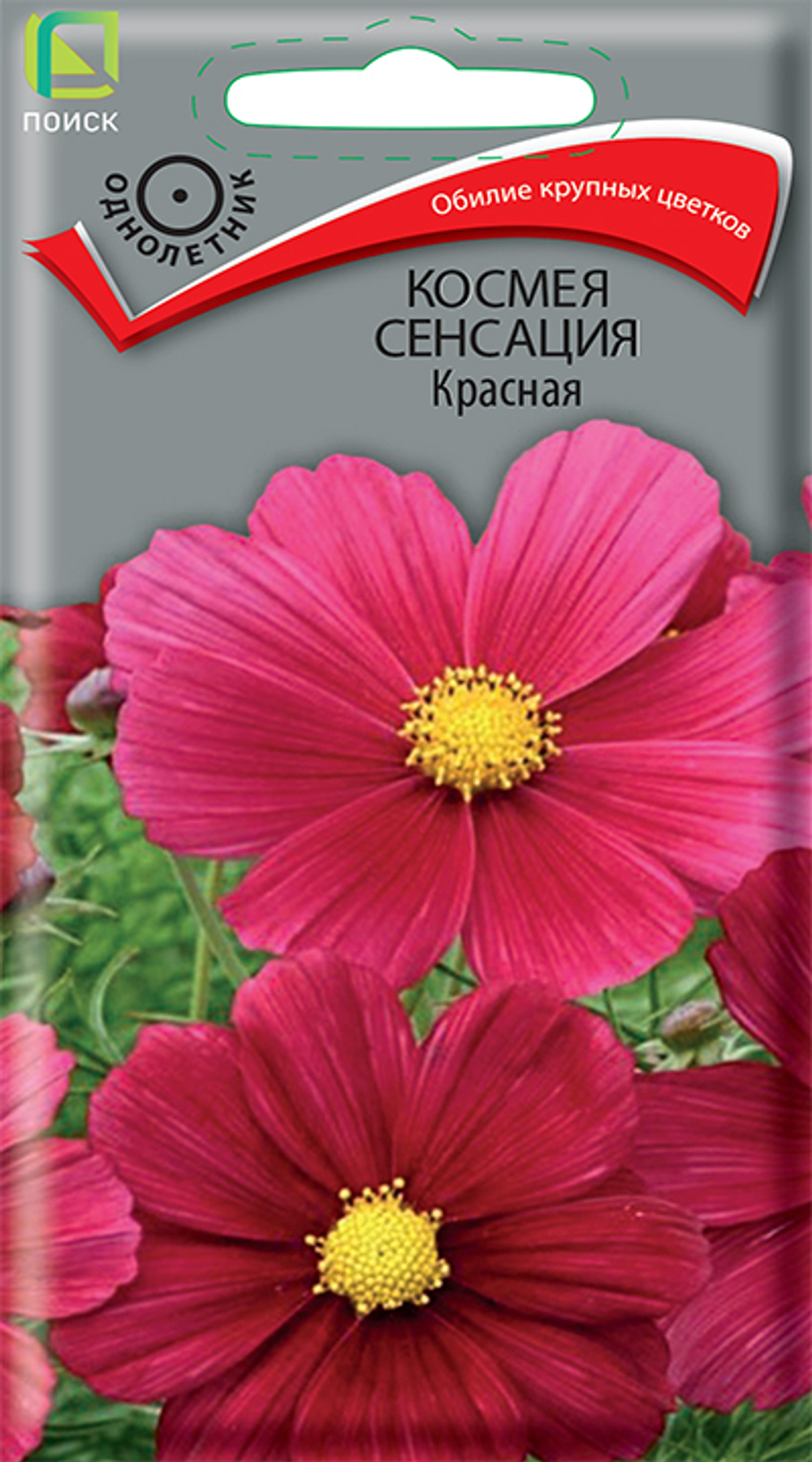 Космея Сенсация красная