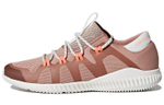 Кроссовки Adidas Crazytrain Pro (Женская размерная сетка)