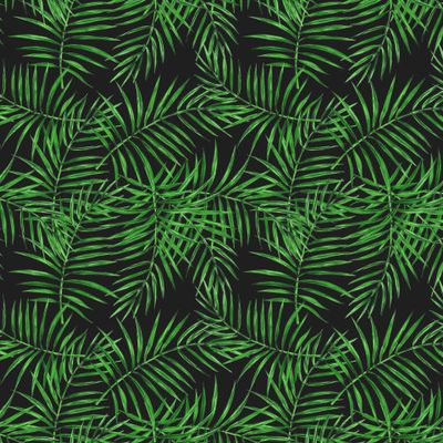 Пальмовые листья