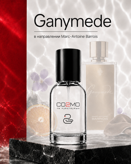 Marc-Antoine Barrois Ganymede