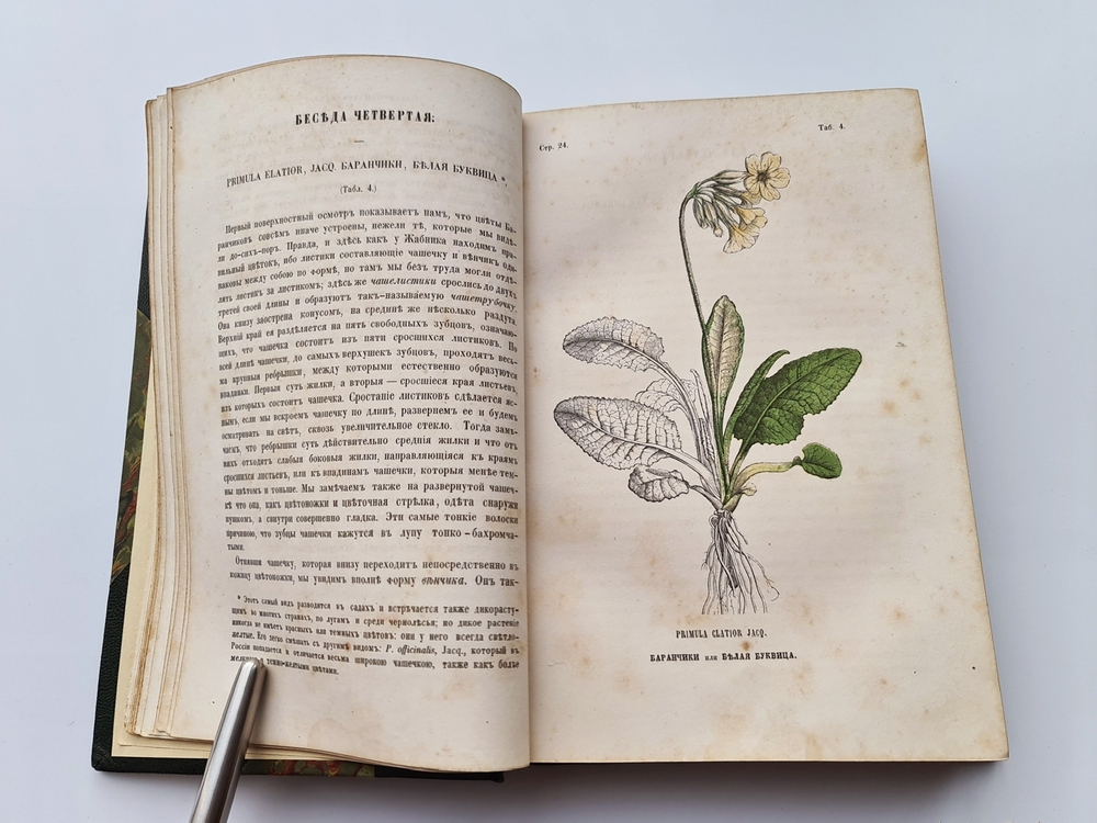 "Ботанические беседы". Б.Ауэрсвальд, Э.А.Россмесслер. 1860г.