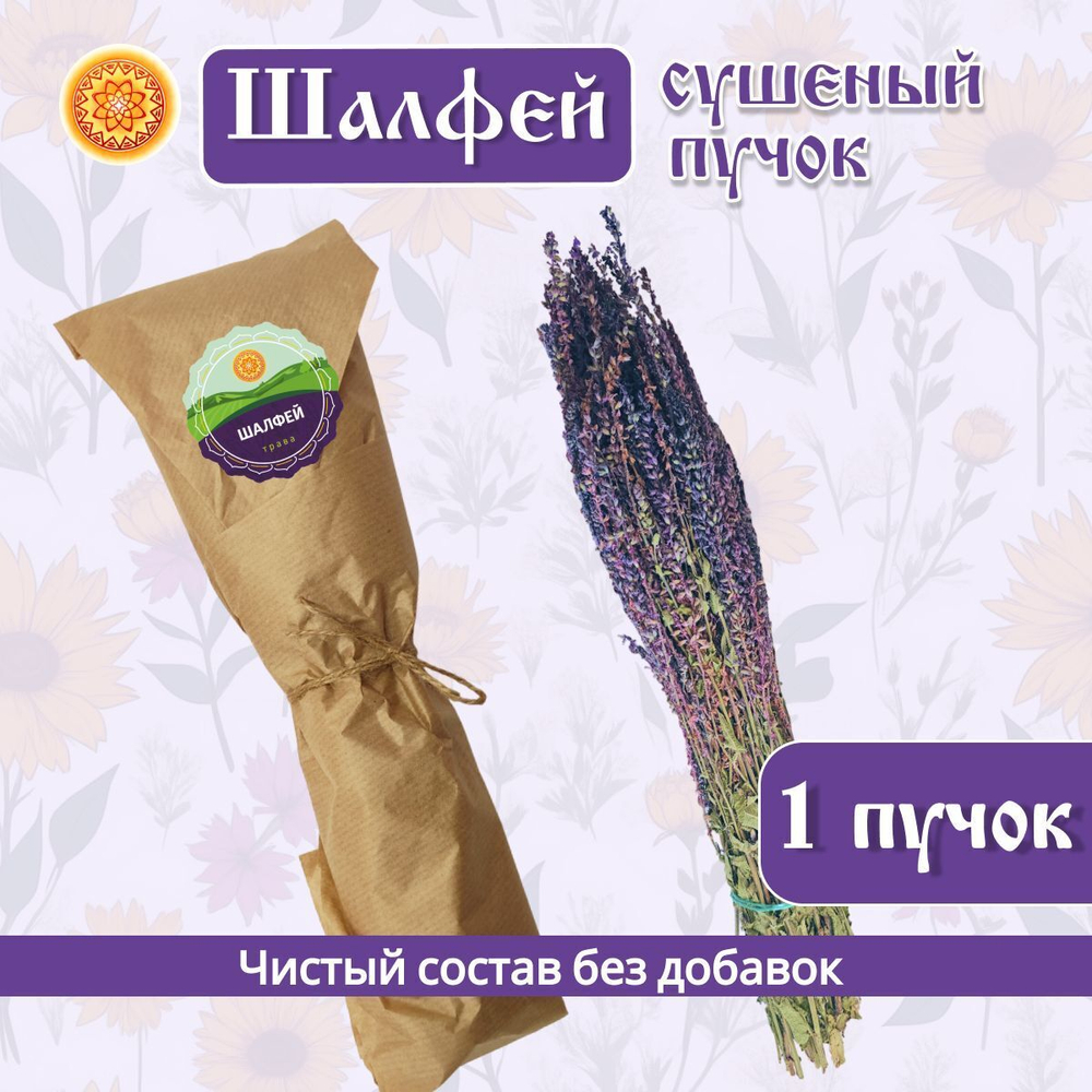 Шалфей пучок.