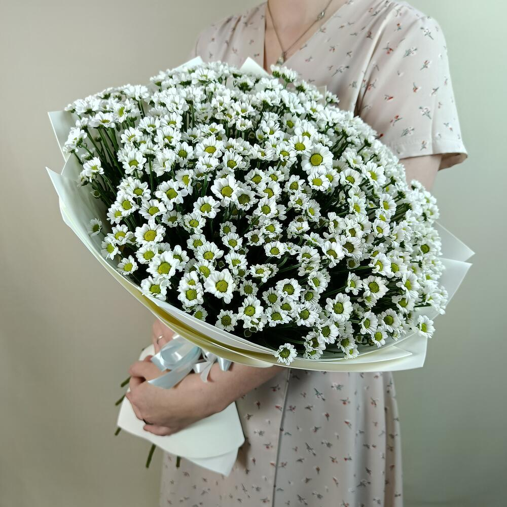 Ромашки-Милашки -L