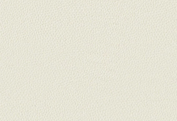 Микрофибра Montana (Монтана) 10