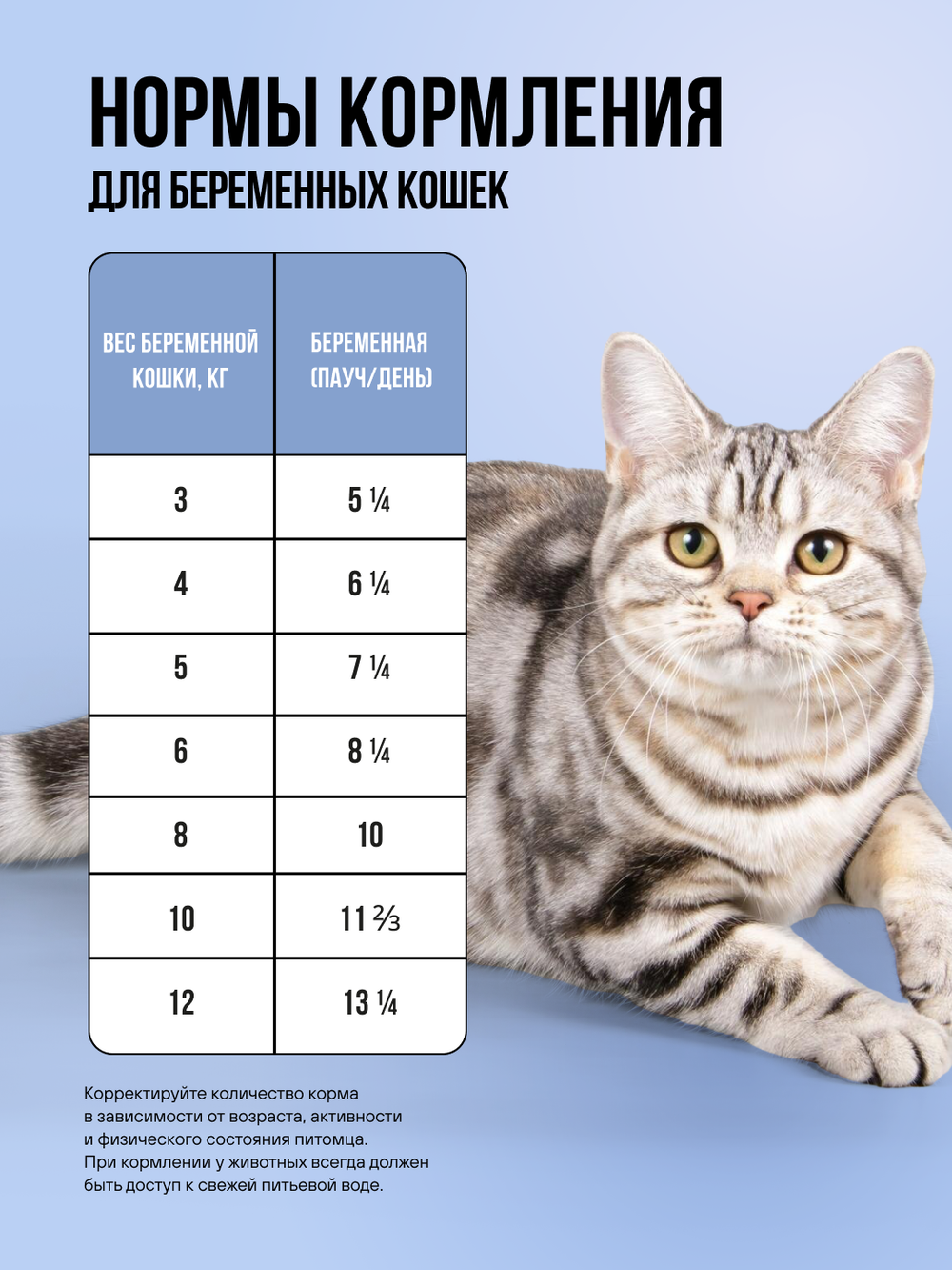 Влажный корм для котят и беременных кошек беззерновой с белой рыбой и тыквой в соусе BOWL WOW 0,085 г. 12 упаковок