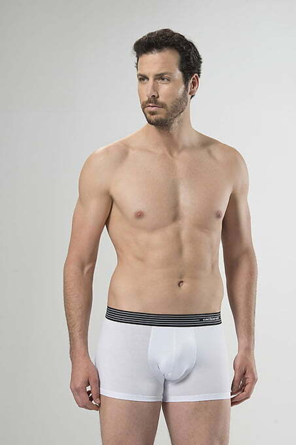 Трусы мужские шорты. Набор из 3-х штук белый- черный- серый