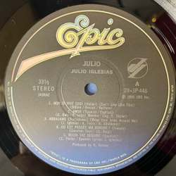 Винтажная виниловая пластинка LP Julio Iglesias Non Si Vive Cosi (Japan 1983) (Obi)