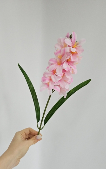 Гиацинт / Арт 2534