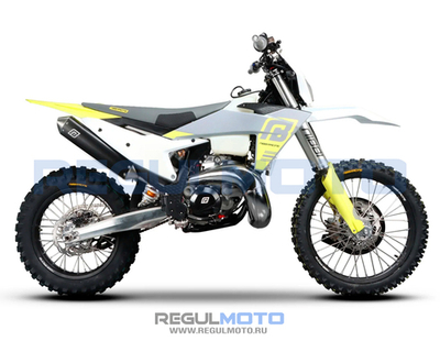 Мотоцикл Regulmoto NIBBI TE N300-SR 2T