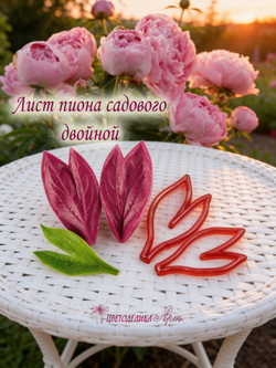 Лист пиона садового двойной