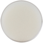 Подушка для смачивания пальцев DELI, 78 мм, прозрачная