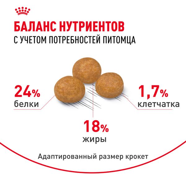 Сухой корм Royal Canin X-Small Adult для взрослых собак очень мелких размеров от 10 месяцев